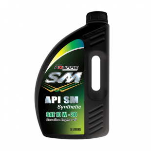 SM API SM 10W-309